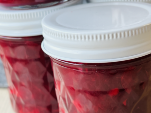 makro aufnahme cranberry sauce in gläsern